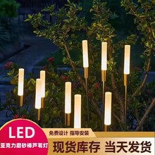 LED发光芦苇灯亚克力磨砂棒灯防雨水插地草坪户外广场亮化景观灯