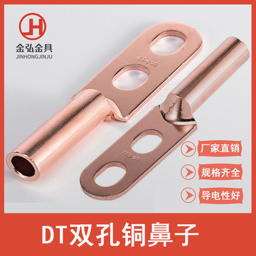 dt2-25-400mm双孔铜鼻子 dts(酸洗) 国标双孔铜鼻 双孔铜端子