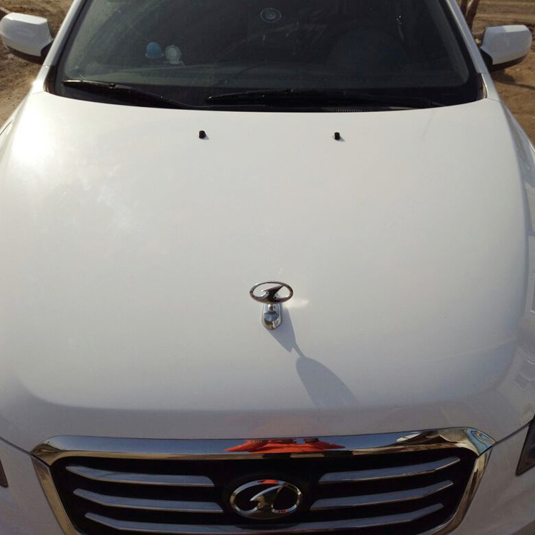 汽车标志大全金属车标个性车贴立标 适用于五菱车标机盖改装外饰