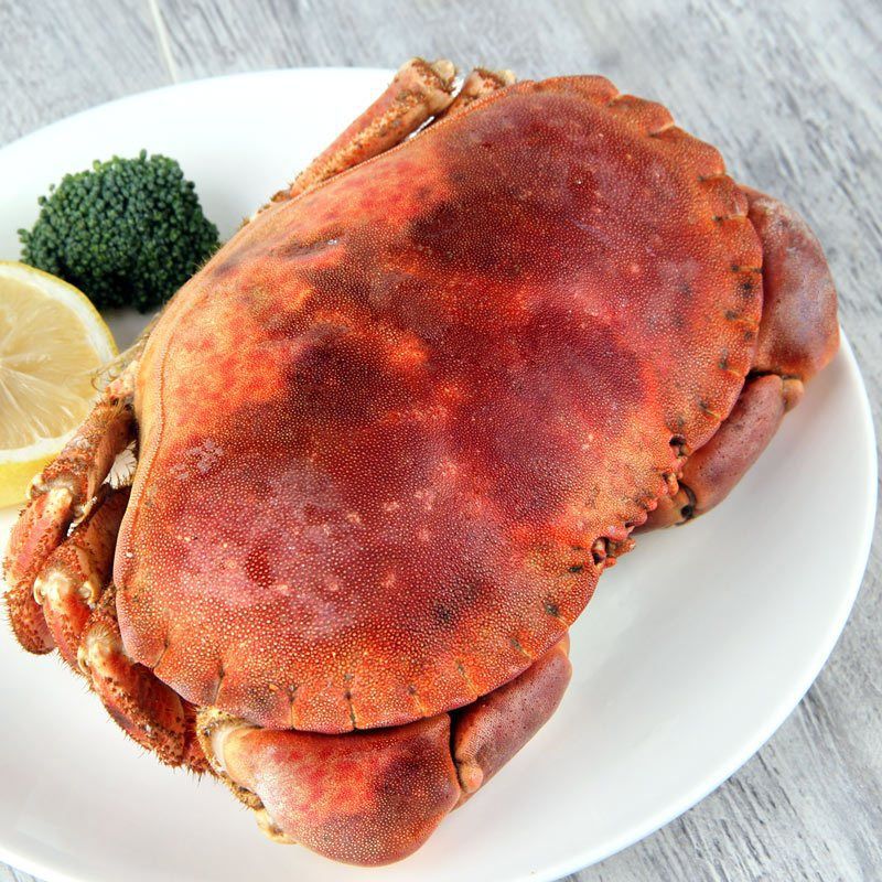 面包蟹深海大面包鲜活熟冻黄金蟹黄道海鲜水产批发海蟹跨境亚马逊