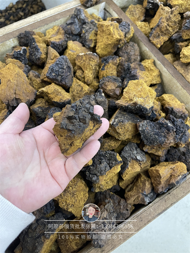 俄罗斯桦树茸黑皮密度块泡水喝一包一斤装-阿里巴巴