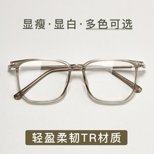 丹阳眼镜TR2197网红潮流大框镜架复古多边形眼镜架超轻近视眼镜框