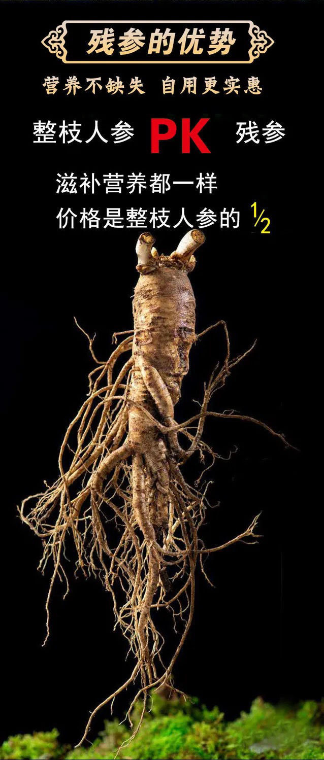 长白山野生鲜人参干人参残枝泡酒药材东北特产