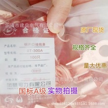 全新原厂 凤凰A级开口铜鼻子 OT-200A OT-250A OT-300A 接线端子