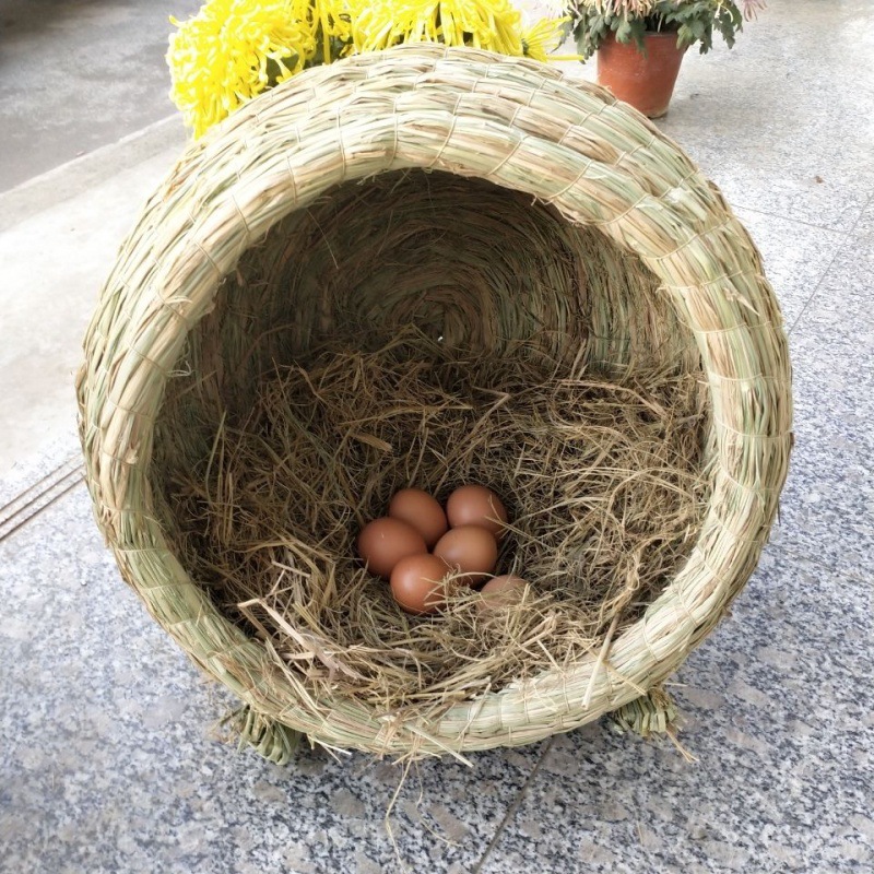 鸽子窝草编草窝信鸽巢盆下蛋母鸡下蛋玉米皮稻草油草用品一件批发