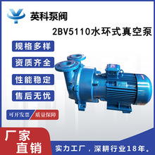 2BV5110水环式真空泵 铸铁工业用抽真空机循环水抽气无油负压泵