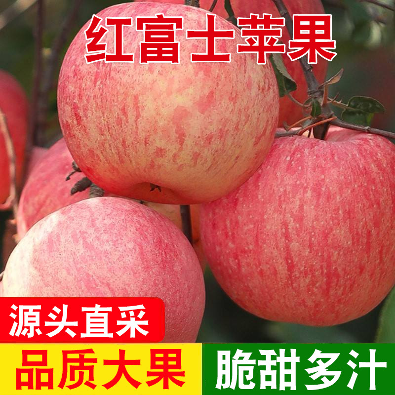 红富士苹果脆新鲜水果各种规格5斤9斤冰糖心栖霞条纹苹果
