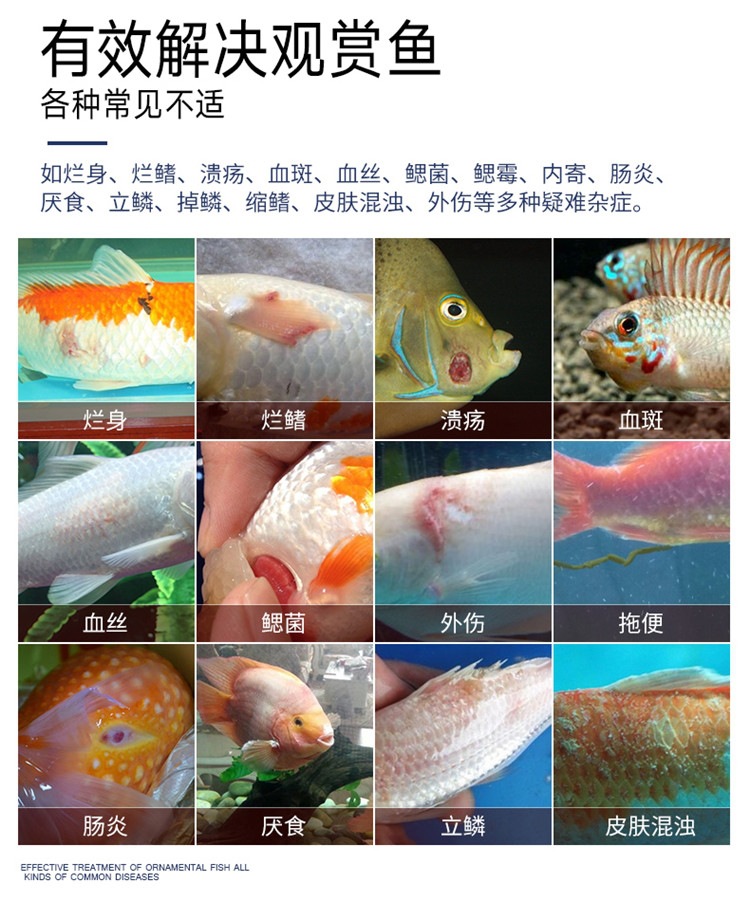 百因美鱼药鱼病一号治疗热带金鱼锦鲤鹦鹉罗汉白点烂尾烂身杀菌