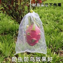 葡萄套袋水果套袋防虫防鸟瓜果蔬菜防虫袋塑料白色网袋