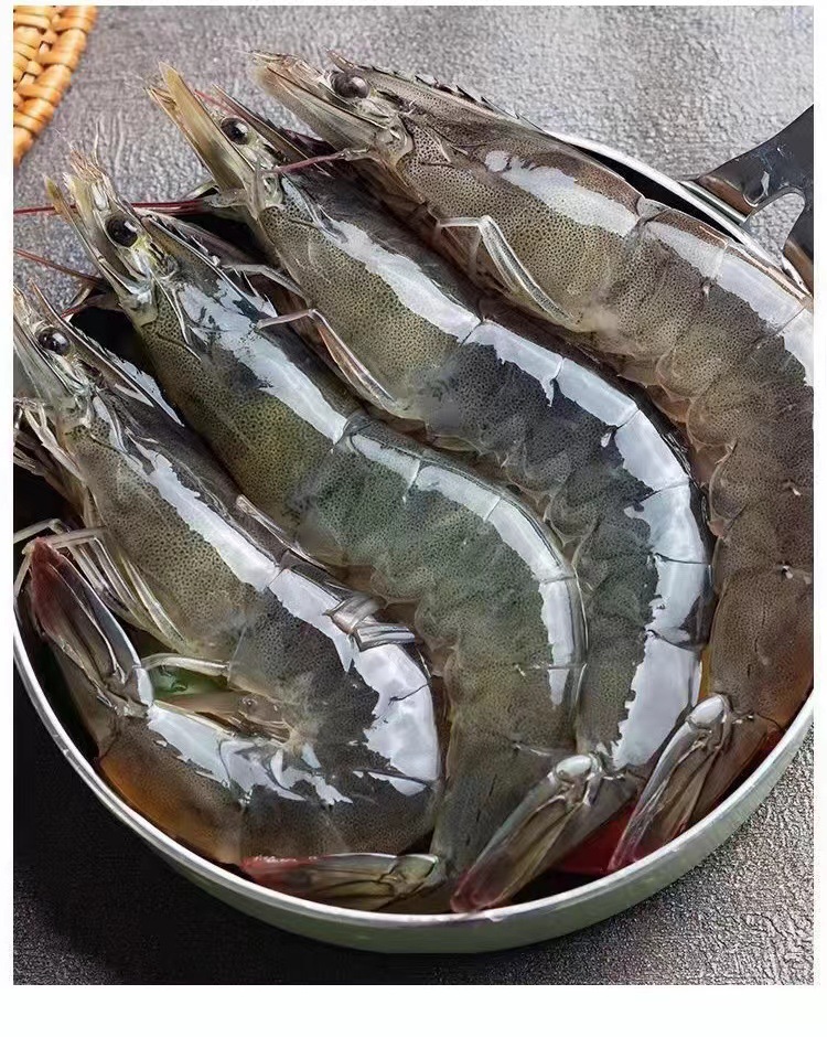 大虾超大海虾鲜活冷冻白虾对虾大虾新鲜海捕大虾海鲜非基围虾
