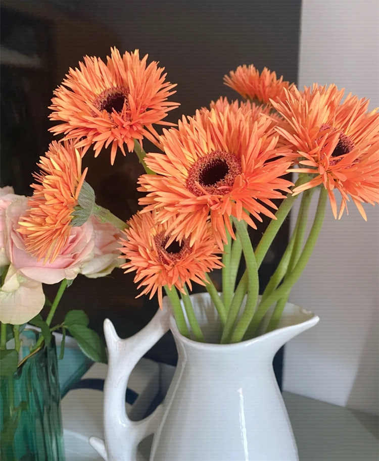 非洲菊鲜花批发扶郎花太阳花拉丝菊鲜花花店摆摊用花社区团购货源