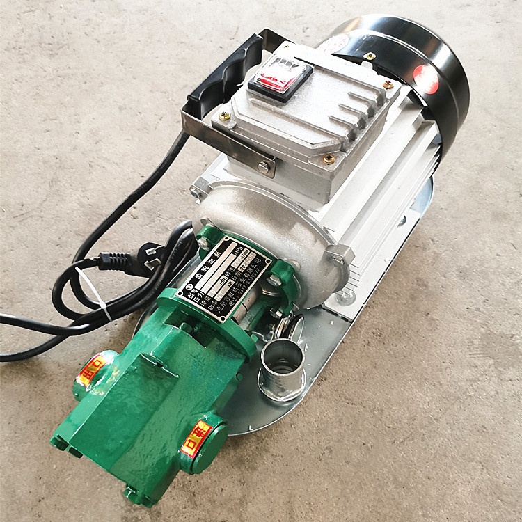 2手提齿轮泵微型卸柴油液压机油220v小型不锈钢wcb电动抽油泵06980