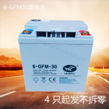 中力EPT20-ET大金刚托盘搬运车蓄电池6GFM30AH地牛叉车电瓶