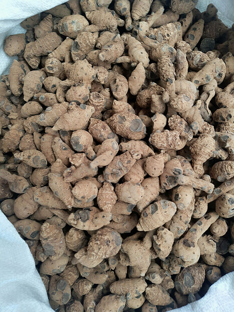 云南血三七中药材泡酒料黄心血三七红心血1斤三七根大货批发代发