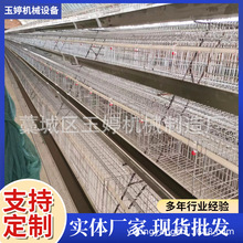 镀锌鸡笼养殖鸡笼镀锌丝全套厂家直供鸡笼价格优惠质量放心