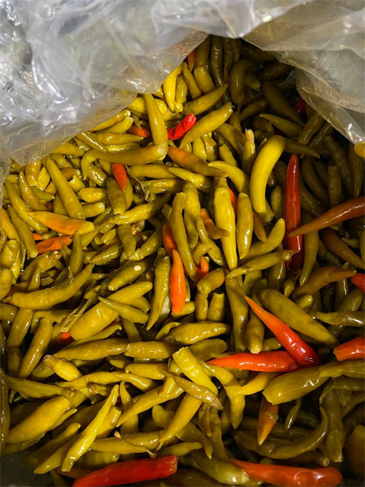 重庆特产泡青椒辣野山椒 散称不加水5斤新鲜辣椒腌制泡椒包邮
