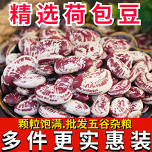 云南农家荷包豆批发状元豆大肾豆豆类五谷杂粮花芸豆斑马豆子花豆