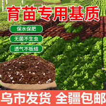 育苗基质营养土家用绿植花卉多肉种菜土壤蔬菜辣椒草莓专用土扦插