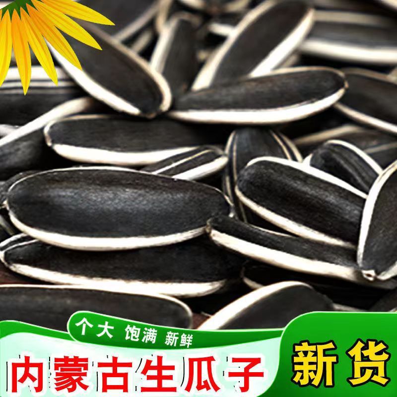 内蒙古生瓜子新货新鲜葵花籽原味瓜子批发特大颗粒香瓜子炒货零食