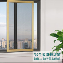推拉式铝合金防蚊防鼠纱窗网家用自装平移不锈钢窗框沙窗门金刚芝