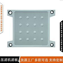 景津配套1250型滤板隔膜滤板 聚丙烯板框压滤机过滤板 厢式滤板