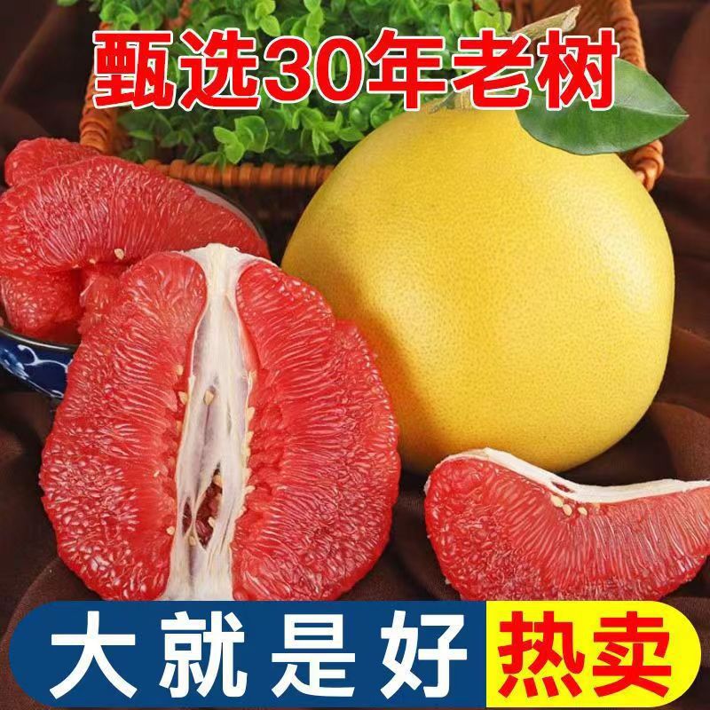 福建平和红心蜜柚新鲜应季水果管溪三红蜜柚柚5/9斤一