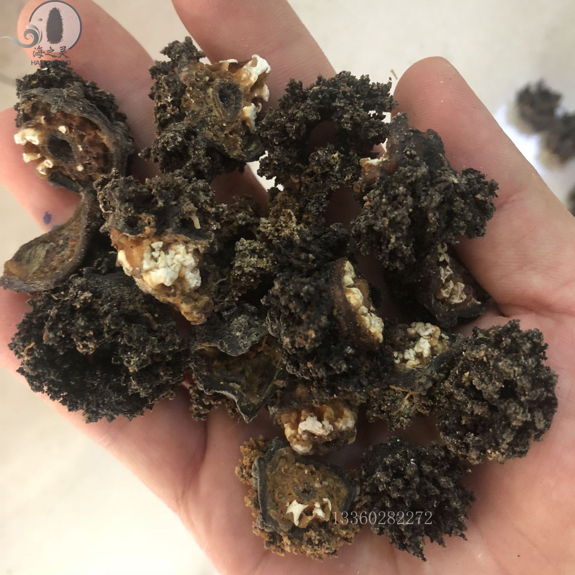 批发海参花 红极海参头 参皮头带肉 足干 酒店专供 实惠食材原料