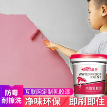 朵乐内墙乳胶漆油漆室内家用墙面修复粉刷墙漆翻新白色漆自刷涂料