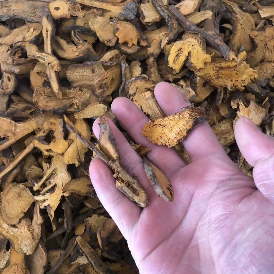 批发供应中药材虎杖 虎杖根 虎杖片 大接骨