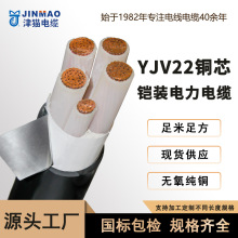 YJV22国标电缆线铜芯带铠装电力电缆阻燃2345芯天津小猫厂家直销