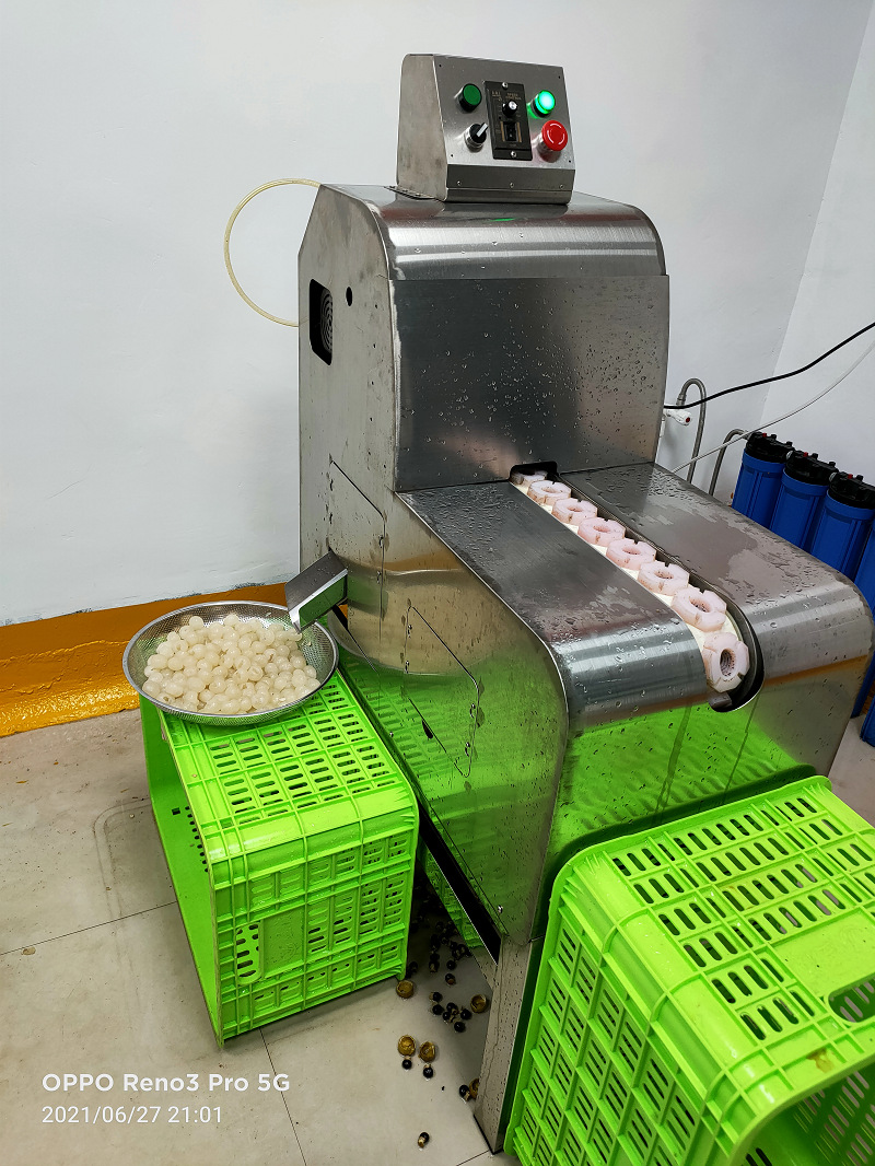 龙眼剥壳去核机 剥壳去核高效同步完成 出果品质高 助力乡村振兴