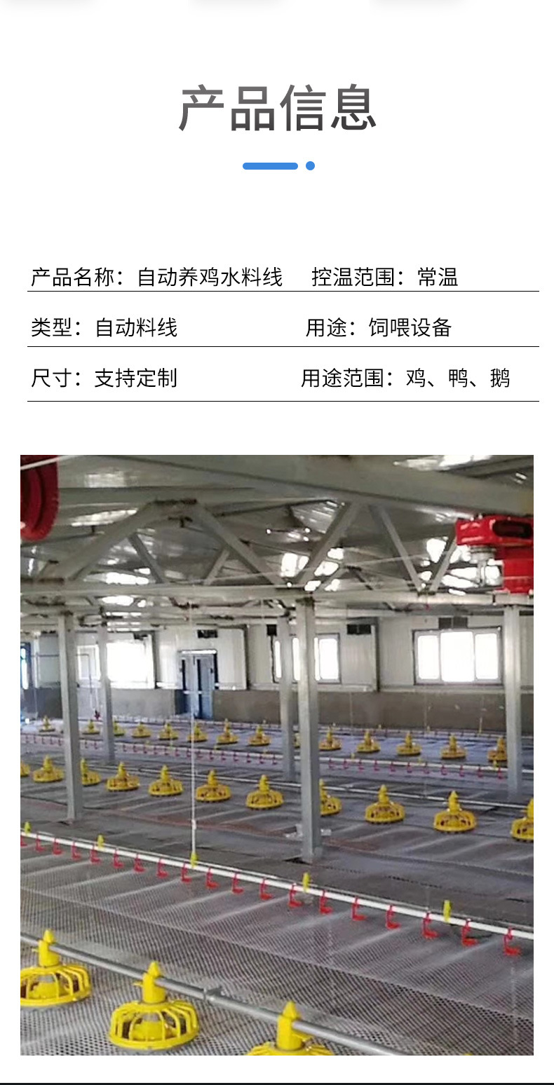 自动化水线料线养殖场全自动水线料线养鸡场水线料线厂家供应