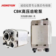 液压升降机油泵CBK-F2.5/F1.6/F2.6/F3.2液压油泵液压油泵总成