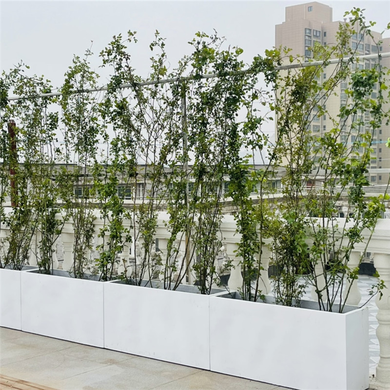 长方形地面绿植种菜水泥花盆特大号围墙隔断楼顶天台镁泥花箱花槽