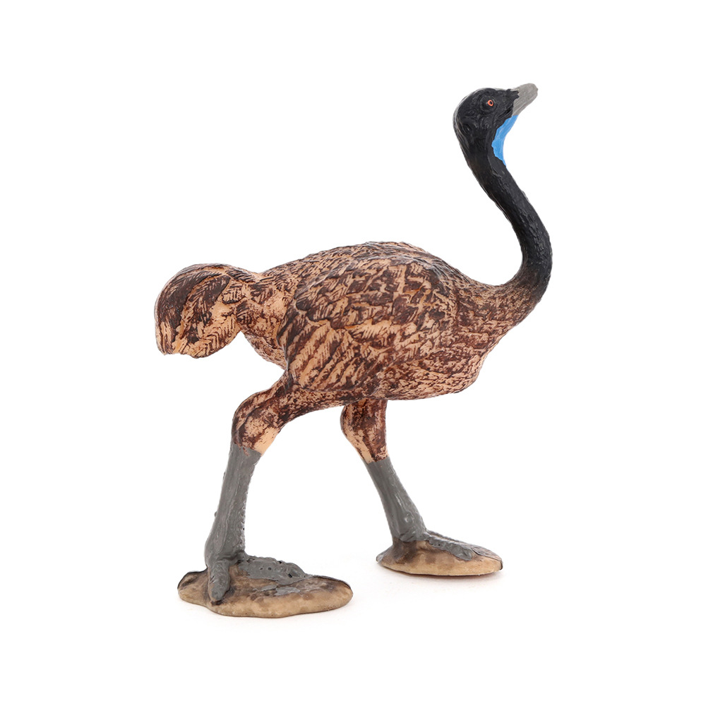 静态实心仿真野生动物模型儿童玩具鸸鹋澳洲鸵鸟科教认知礼物摆件