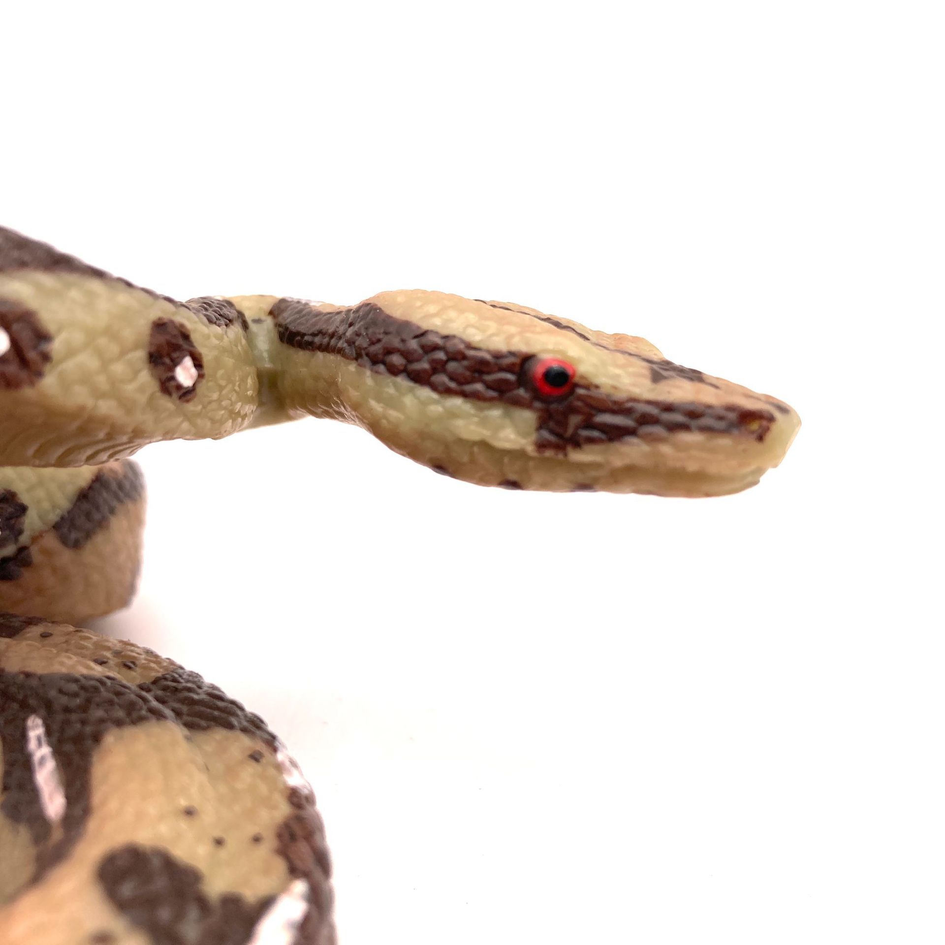 野生动物仿真蛇模型玩具大蟒蛇黄金蟒模型两栖爬行动物蛇整蛊玩具