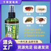 Pets Insect Spray Lice Dogs Hamsters rabbit Pets Louse Flea In vitro Insect Spray Pets Insect Spray Lice Dogs Hamsters rabbit Pets Louse Flea In vitro Insect Spray