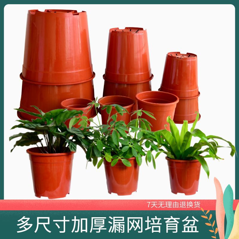 Jiali Flower Pot Plastic Hard Clivia Orchid Planting Pot Seedling Root-Controlling Pot Succulent Gallon Pot Straight Flower Pot