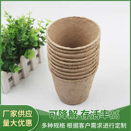 纸浆育苗杯 10圆育苗杯 可降解纸质育苗钵一次性盆育苗盆厂家批发