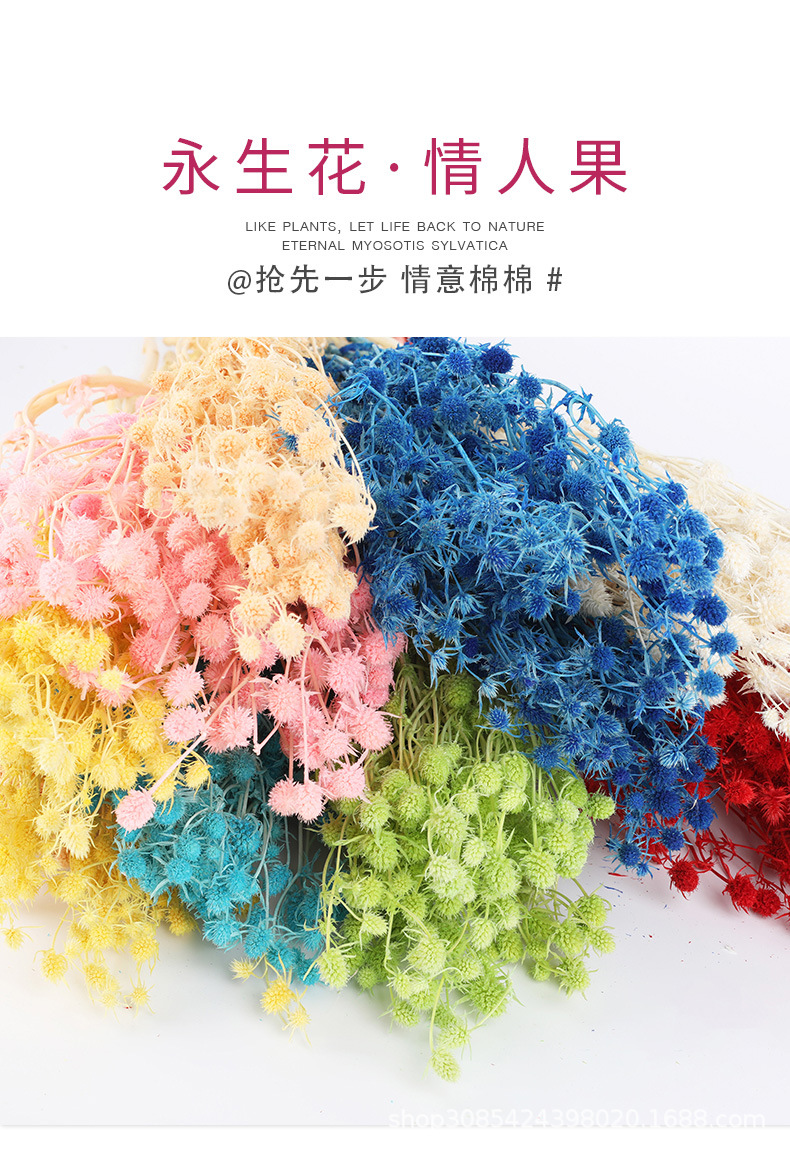 云南永生花 情人果小刺芹保鲜花 干花花盒礼盒配花家居装饰插花