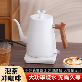 电热水壶 天鹅颈不锈钢电热水壶Electric Kettle咖啡壶 烧水壶
