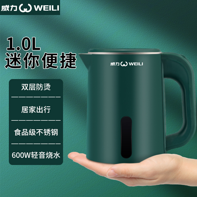 Mini Small Capacity Stainless Steel Household Hotel Electric Kettle 1L Dormitory Kettle Doudian One Piece Dropshipping