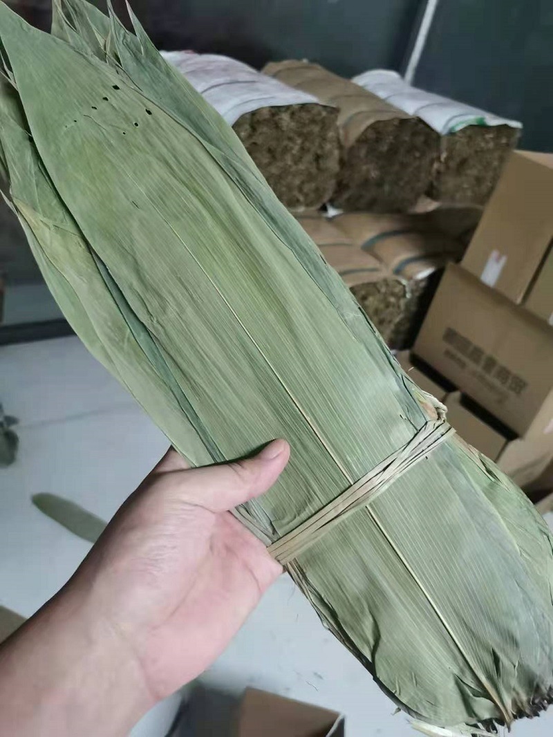 粽叶批发50斤整捆箬叶麻竹叶廖叶芦苇叶包粽子粽子叶商用统货新鲜