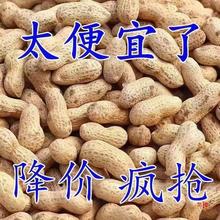 【净重新花生】原味炒熟花生铁锅炒花生带壳生花生粉皮花生米现炒