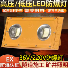 隧道灯led防爆灯仓库户外灯100W200w加油站船用低压220V 36V投光