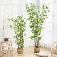 竹子落地假客厅新中式绿植盆栽摆件大型植物装饰假绿植速卖通