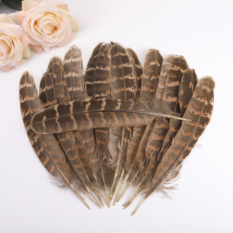 Factory Wholesale DIY Feather Craft Mother Chicken Feather Hen Nest Feather DIY Ornament Accessories Performance Accessories