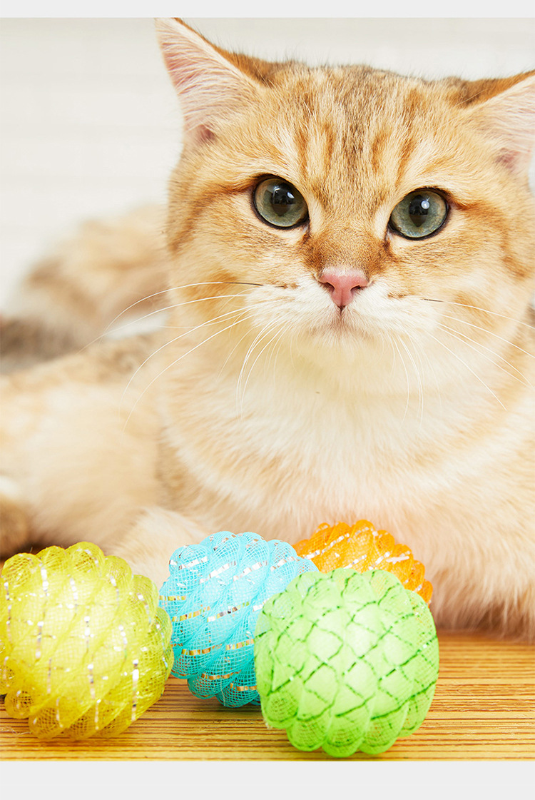 两只福狸 猫玩具球猫薄荷球绒球毛线球鸟铃铛球发生小老鼠