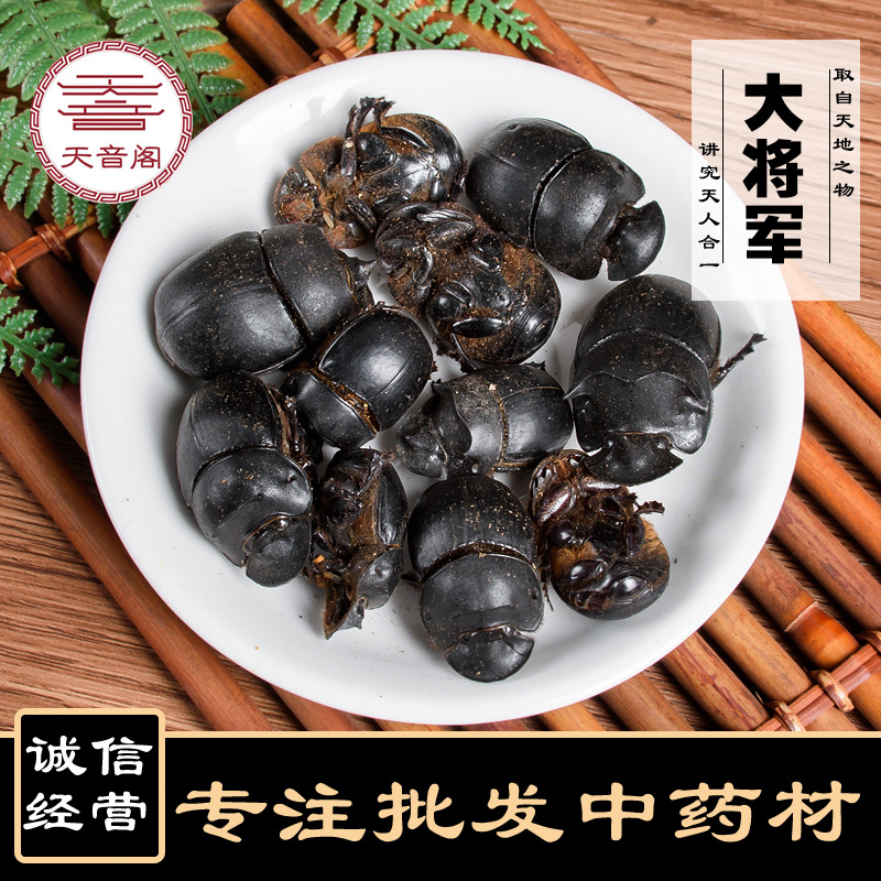 天音阁中药材大将军 蜣螂清水蜣螂屎壳支持药检 水洗货 无增重