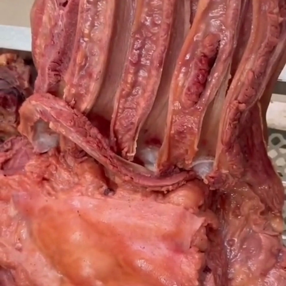 驴肉特产熟食驴腱子肉河间驴肉火烧带皮驴肉五香驴肉真空酱卤驴肉